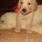 Otra fotoooo....