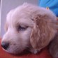 Este fue nuestro primer dia con nuestro Toto