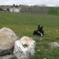 En las praderas de Cuenca con mi palo