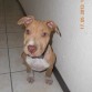 ya tres meses