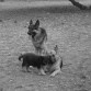 kira esta tumbada y ronny de pie