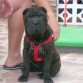 con 6 mesecitos!