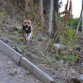 corriendo