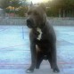 CON 7 MESES