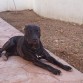 11 meses
