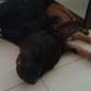 Durmiendo con mi hermanita Nilo