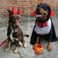 Halloween con Homero