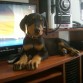 salomon tiene tres meses