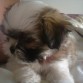 Y esta es Sheyla!