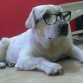 Anuska intelectuaL :)