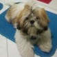 Chamis con 5 meses! 