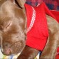 Durmiendo