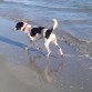 Un día de playa...
17/02/2012