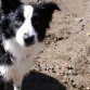 maggie