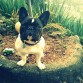 Mi gordita, un día que nos aburriamos (: