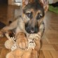itachi con unos meses menos.