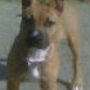 Mi dunilla con 5 meses 