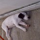 aqui tenia 3 meses y no tenia manchas 