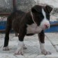 aqui con dos meses