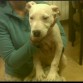 Tara recien llegada con 3 meses