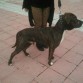 con 9 meses :)