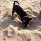 haciendo excavaciones