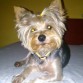Mi dunita peladita. 3 años.
