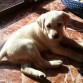 Al solecito :)