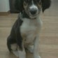 Con 3 meses..