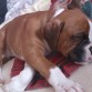 Durmiendo