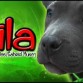 Dalila ♡