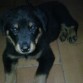 bebé :)