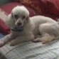 mi bb en la camita
