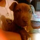 2 meses y medio
