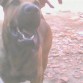 moustrosamente hermoso..
