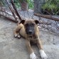este es mi pequeño