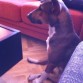 Viendo la tele, la encanta!!