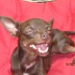 Tomando el sol!!!