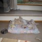 Durmiendo con sus juguetes