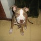 tara con 2  meses
