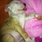Kimbo 2 meses