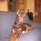 Mi niño descansando despues de jugar