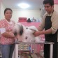 Preparandome para mi primer concurso