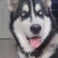 Coco a los 6 meses