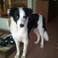 6 meses