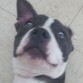 Bella