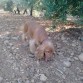 Bbuscando un lugar para descansar