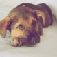 El día que la adoptamos
