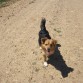 De paseo