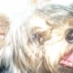 Isabelisima!